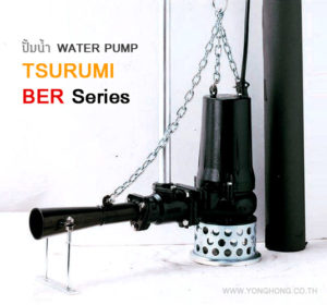 TSURUMI BER Series